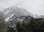 14 La cresta dal monte Pomnolo al Toazzo
